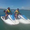 sinapmisi