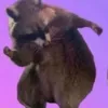 imupsetfu