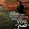 syedasheebahassan
