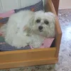 rocca_gazz