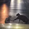 its_not_someone2