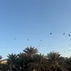 halmualla