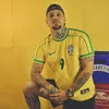 guilherme_alemaao