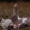 karleeadavis
