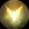 daisyt0e