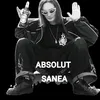 iscaem_brinzu