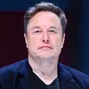 Musk chat