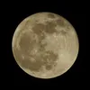 thebeliever74