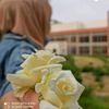 sonahaifer