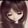 gracie_backoff