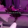 abbeytheestallion_