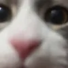 hi._.carly