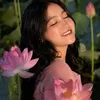 urlillotus