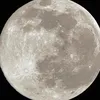 cherriesandwine333