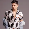 Addy Raj