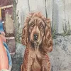 taryn_foord