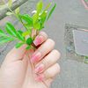 putri.sekarketawang824