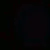noras_tier