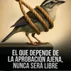 elenamarquez11