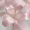 oiwzha