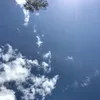 aleccilion