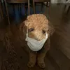 miaccumminz