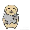 wallabyluver