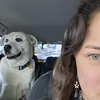 smindi_