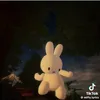 pingoo_flamingoo