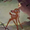 evaxfee