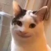 idgafimazenin