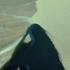 habibasaied_