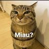 mayiih_123