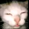 fakuuezequiel