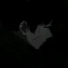 chasevhorel