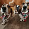 dudley_earl