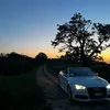 nevin_4147