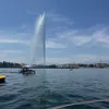 lauramarquesv_