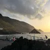 noi_dvl