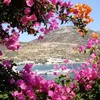 a_greece