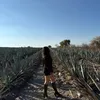 maria.cln13