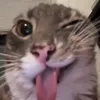 sseol_03