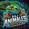 raj_tbs420