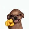 hyacakes