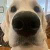 ekooolaid