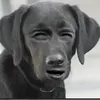 mnnnrgl
