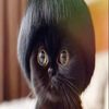boopbeepde