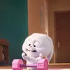 tymjdmjggg