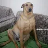 andrei.stancu20