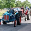 lilacstractors
